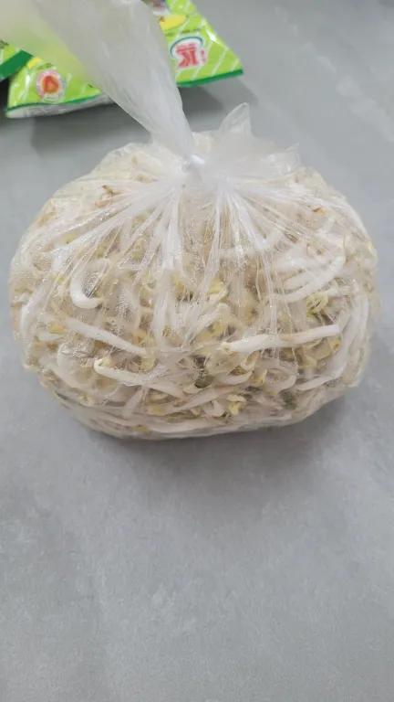 Giá đỗ