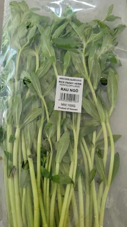 Rau Ngổ 100G