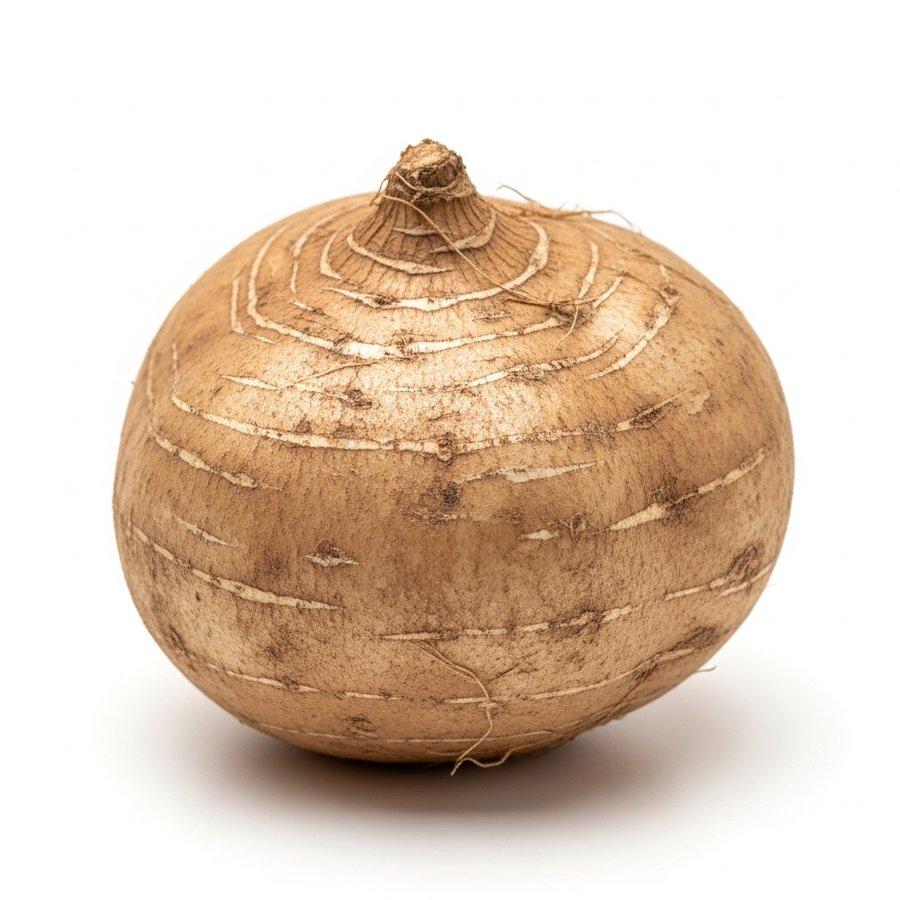Củ đậu
