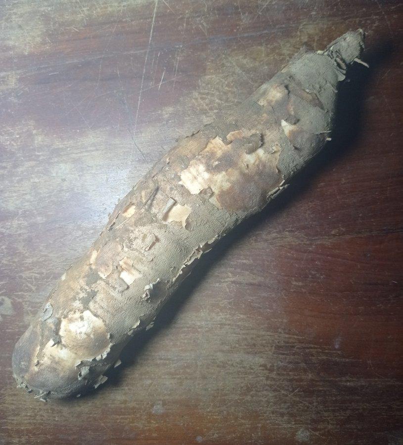 Củ sắn