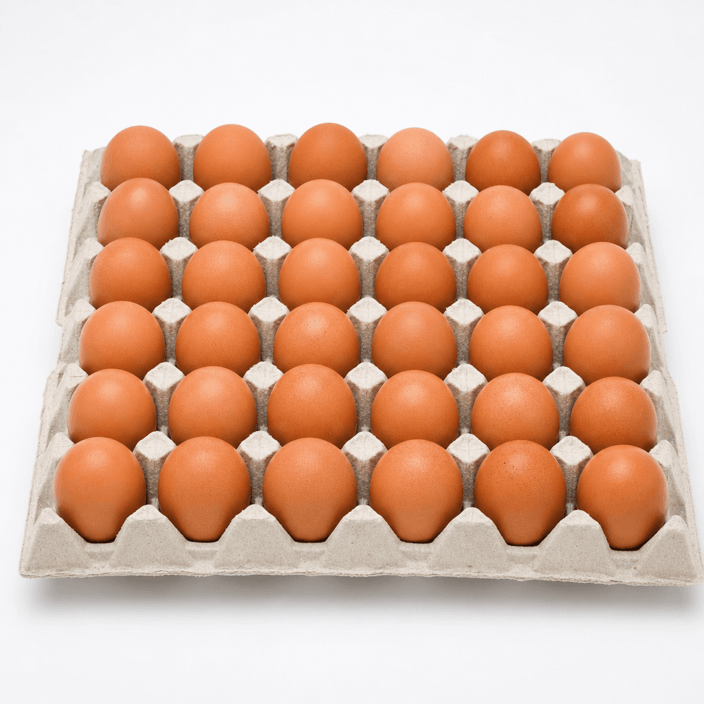 Trứng gà đỏ thường 1 vỉ