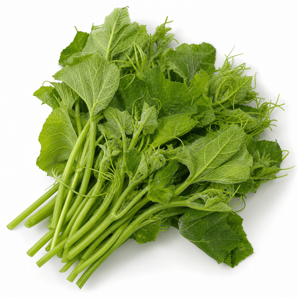 Rau bí đã nhặt