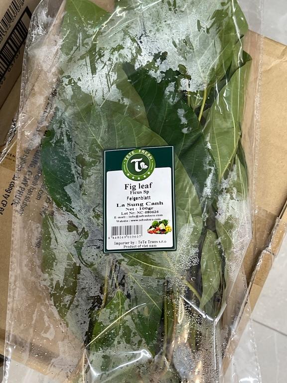 Lá sung tươi TeTe Fresh 100g