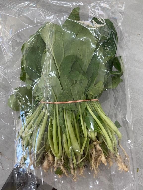 Rau cải ngọt
