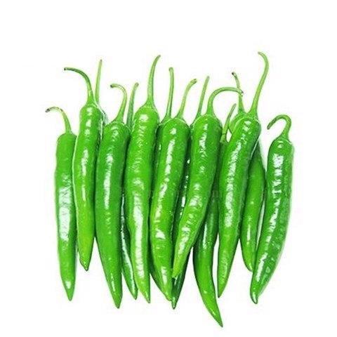 Ớt sừng xanh