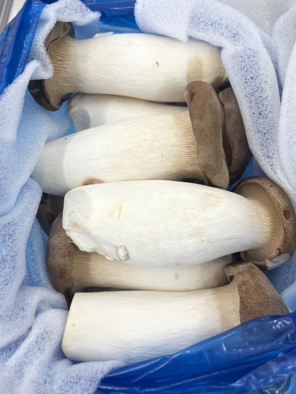 Nấm đùi gà
