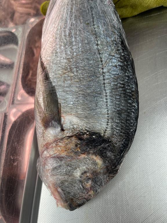 Cá dorada