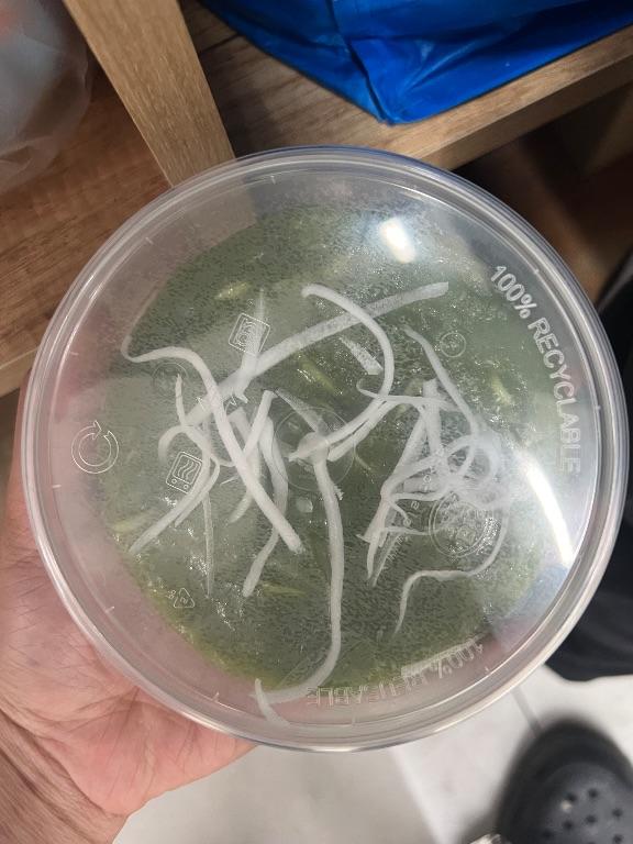 Chè cốm cốt dừa
